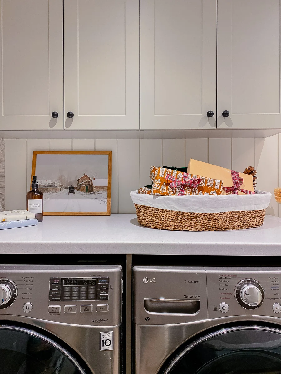 basment laundry room with deep sink, home depot cabinetry, laundry cart