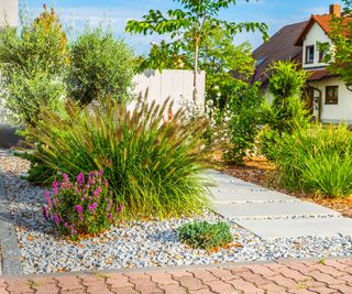 painted front garden wall and path with ornamental grasses and gravel