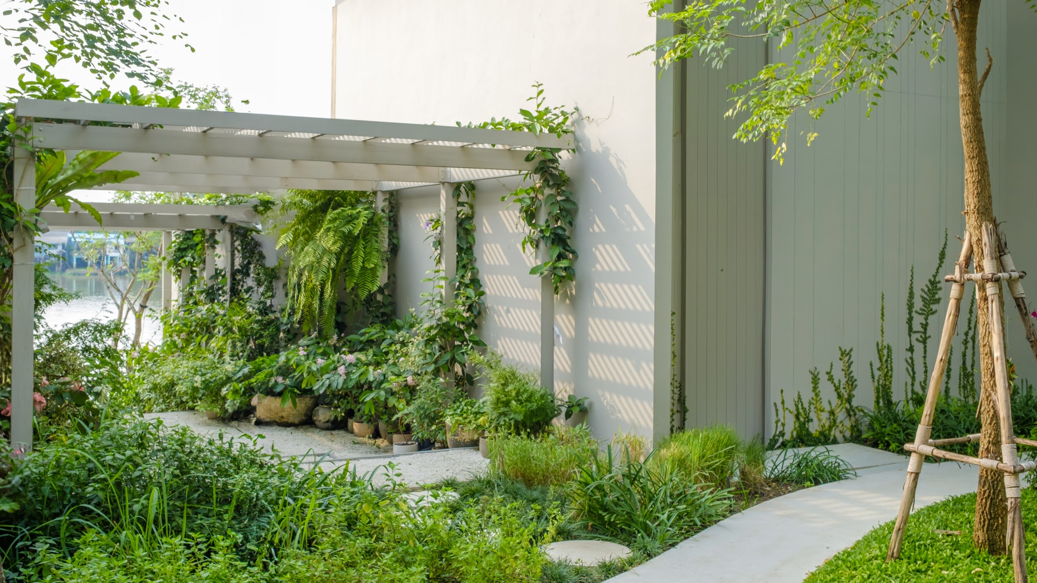 A wooden pergola attached to a building, with climbing plants growing around the beams