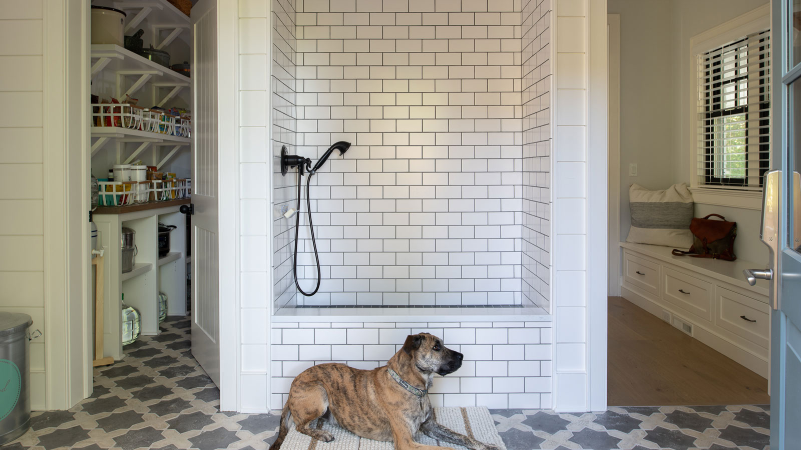 dog shower in utility room