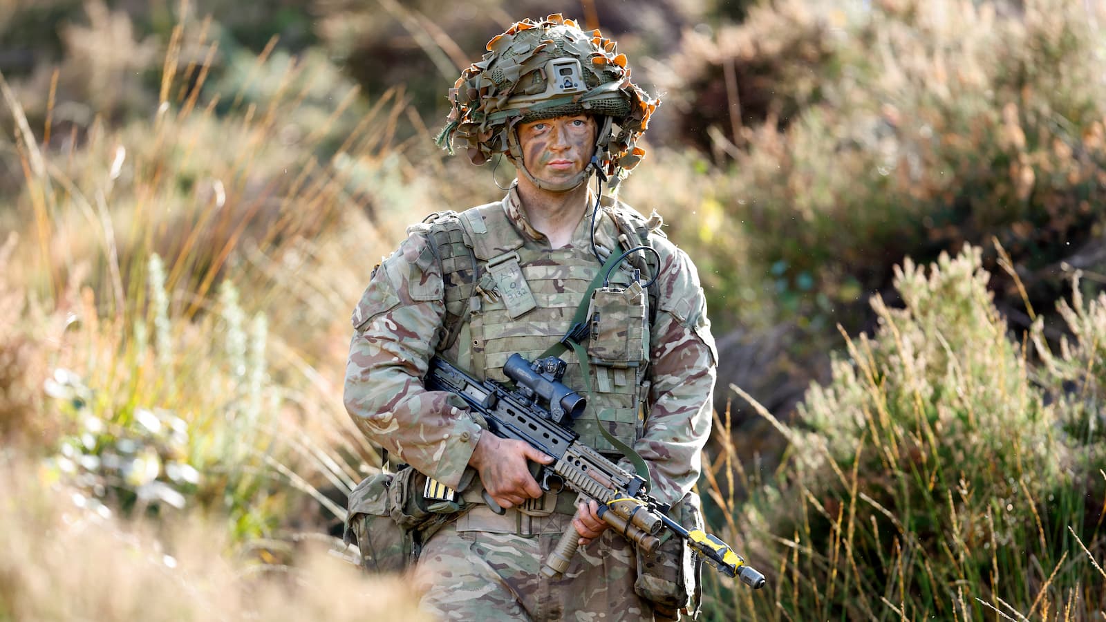 Would you volunteer? Government launches new ‘Dad’s Army’ Home Guard to protect power plants and pipelines