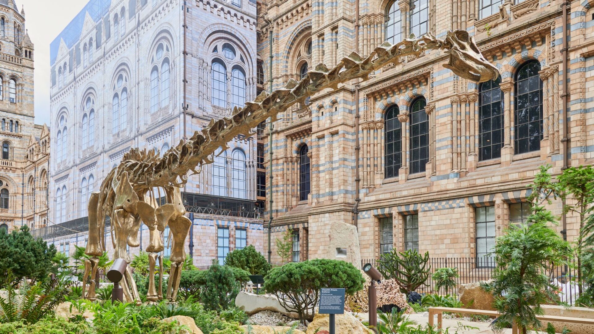 Building the Natural History Museum’s Urban Nature Project