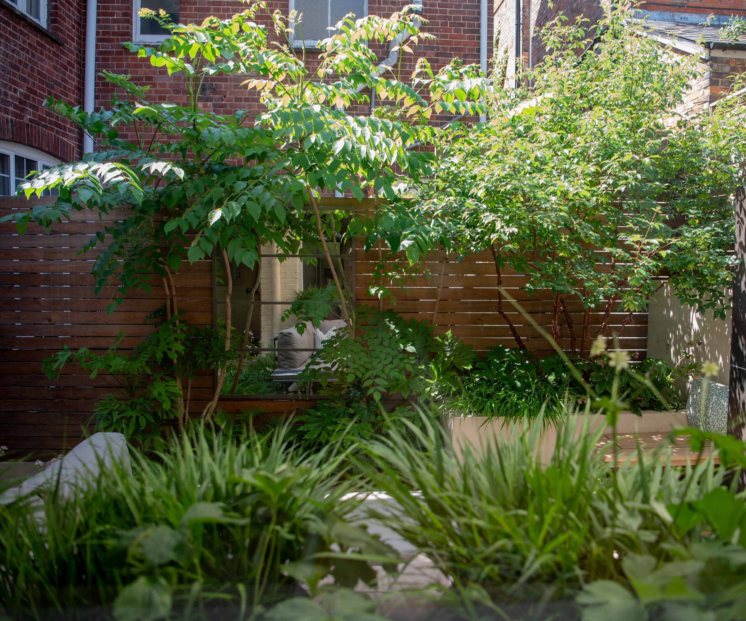 small garden with patio, fence, screening trees and planting