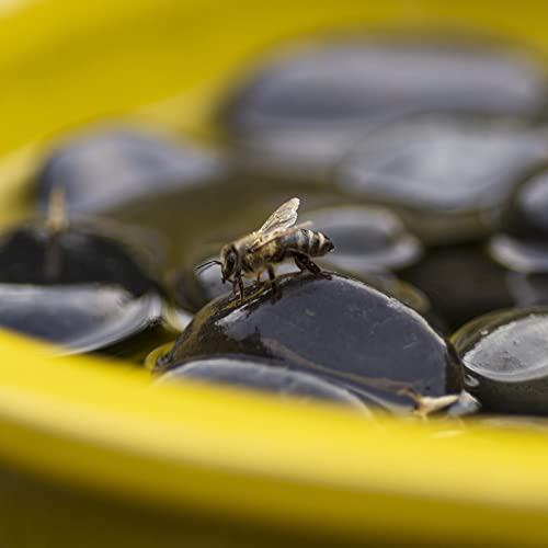Fallen Fruits Garden Bee and Butterfly Bath Water Feature in Summer Yellow