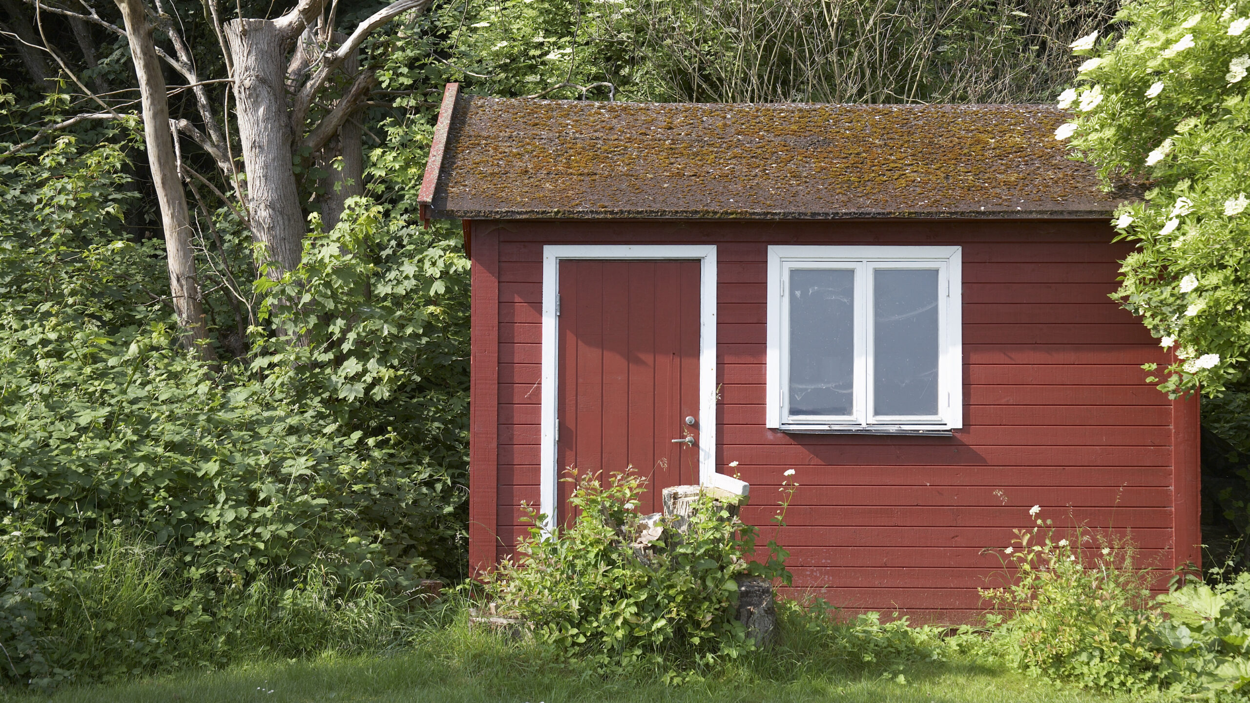 How to choose the best shed security alarms and systems to keep the contents safe