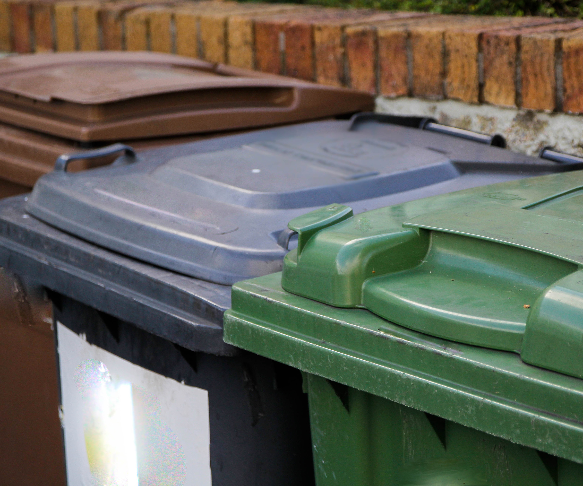 Household bins outside a garden wall