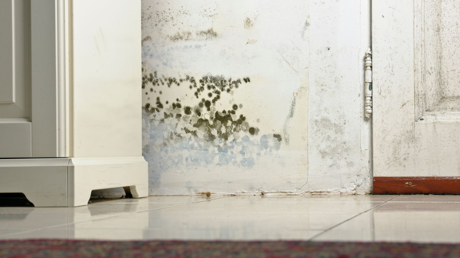Insulation scheme branded a ‘systemic failure’ for 30,000 homes
