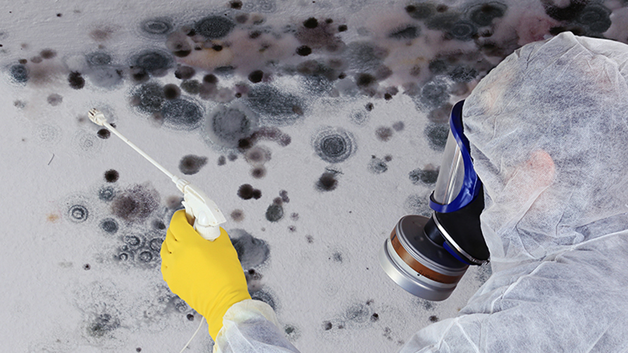 CPD: Awaab’s Law and damp management