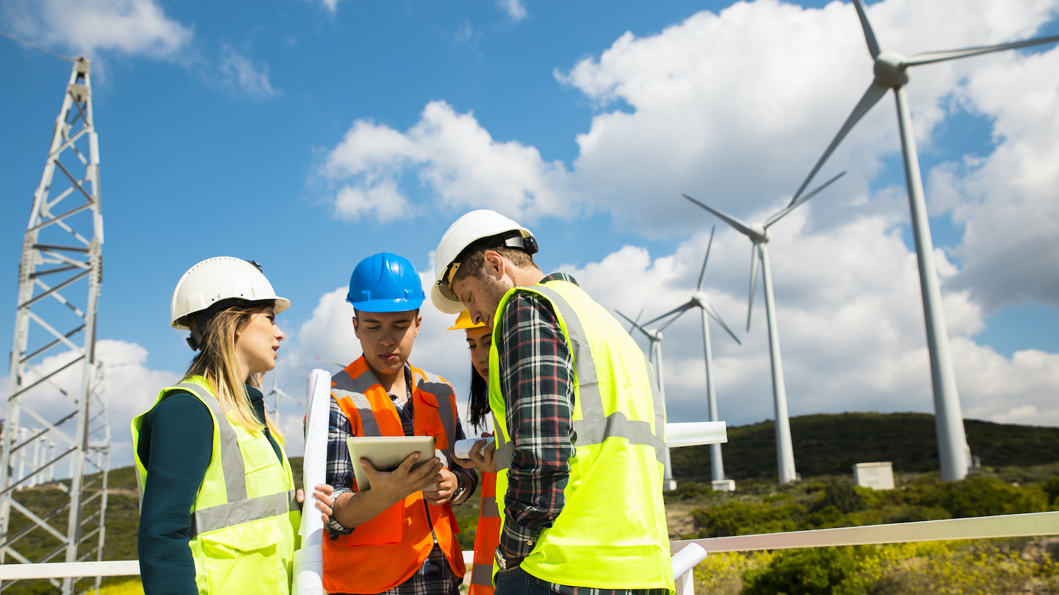 Why are we letting net zero be sabotaged? 