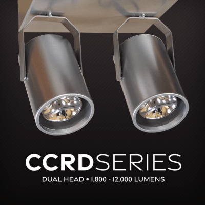 CCRD Series: Dual-Head Lighting with Total Control