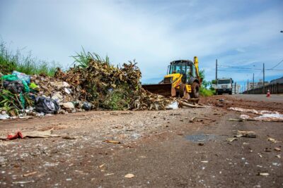 Smarter yard waste removal for busy homeowners