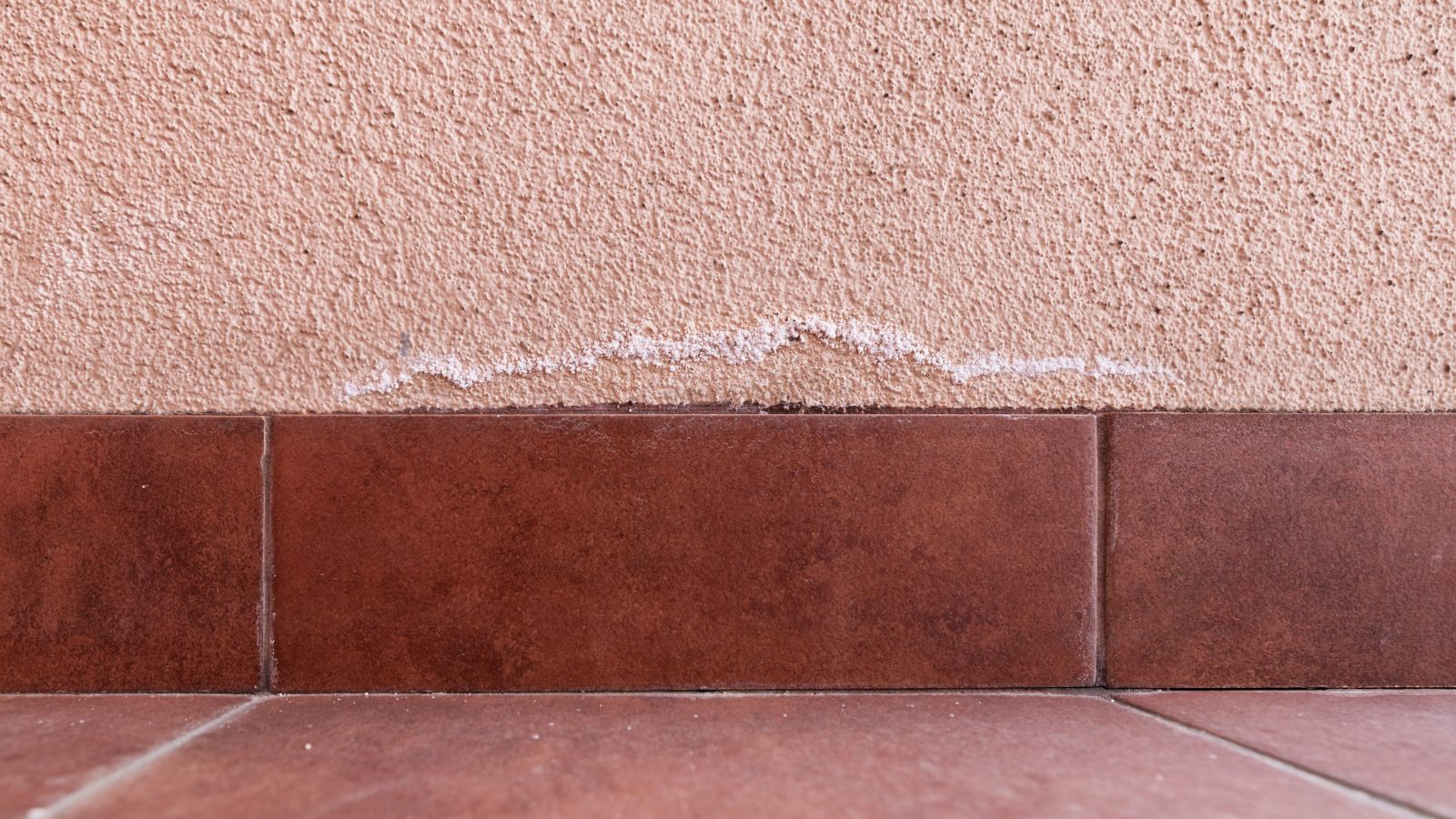 What is salt banding? How to treat damp walls properly
