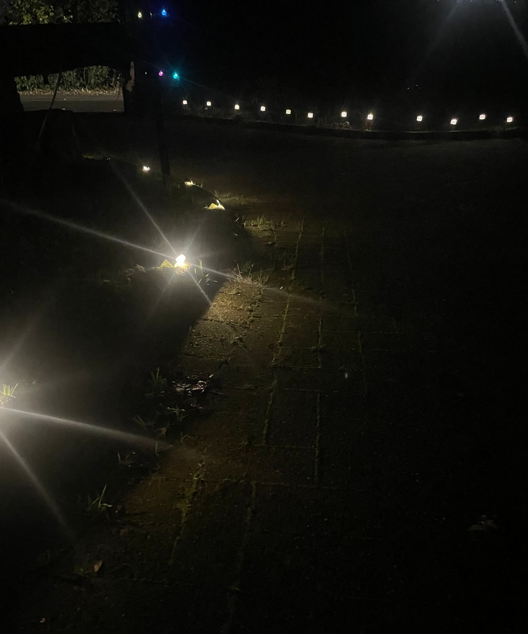 Solar deck lights on the path of a driveway
