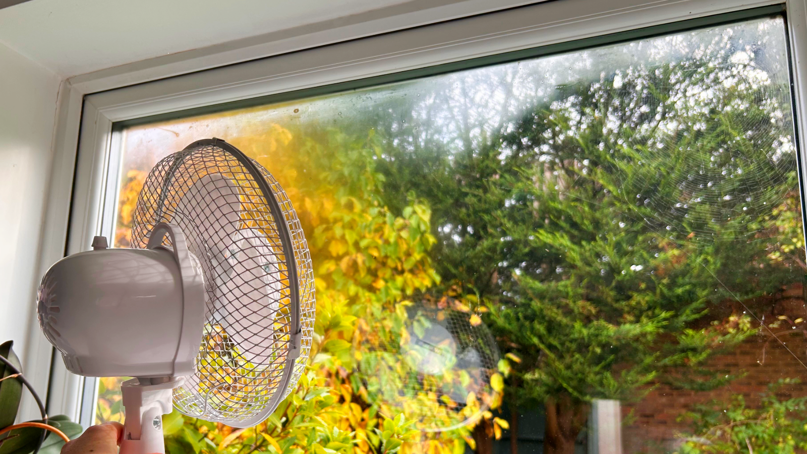 Can you get rid of condensation with a cooling fan?