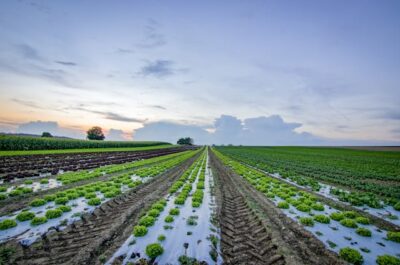 Boosting Crop Yields With Advanced Irrigation Technology